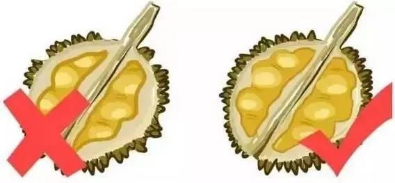 热性水果有哪些种类，热性水果一览表（最全水果手册，大家收藏吧~）