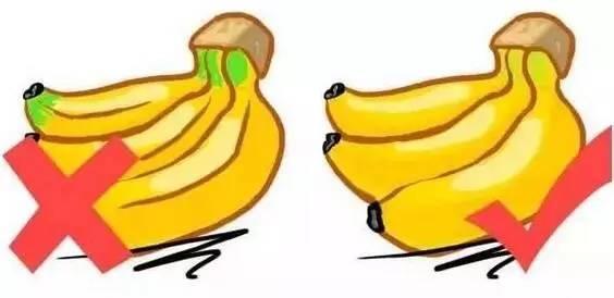 热性水果有哪些种类，热性水果一览表（最全水果手册，大家收藏吧~）