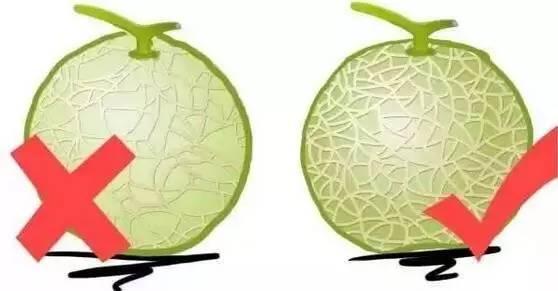 热性水果有哪些种类，热性水果一览表（最全水果手册，大家收藏吧~）