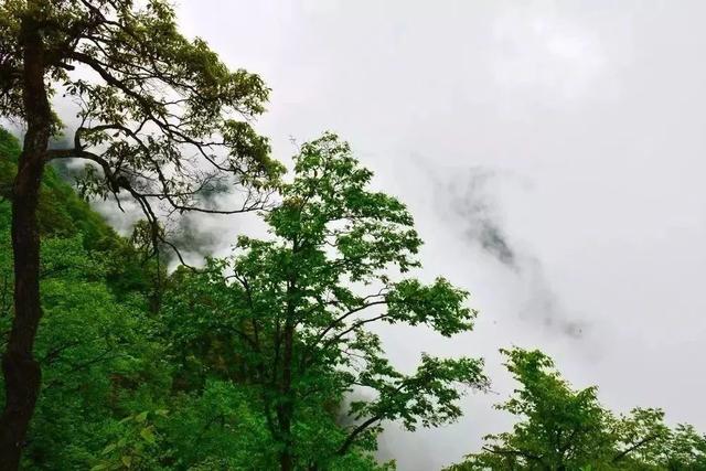 梵净山景点介绍，贵州旅游景点梵净山介绍（梵净山入选《国家地理》2019年最佳旅行地）