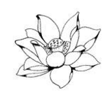 梦参长老临终开示，梦参长老：人家富贵你不要羡慕