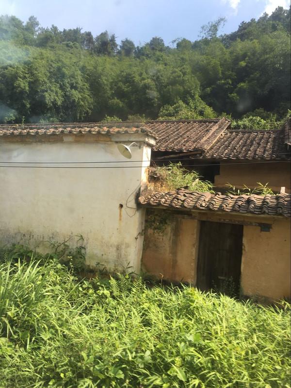 清远8大漂流推荐！，清远漂流哪里最好玩最刺激（清远市漂流体验）