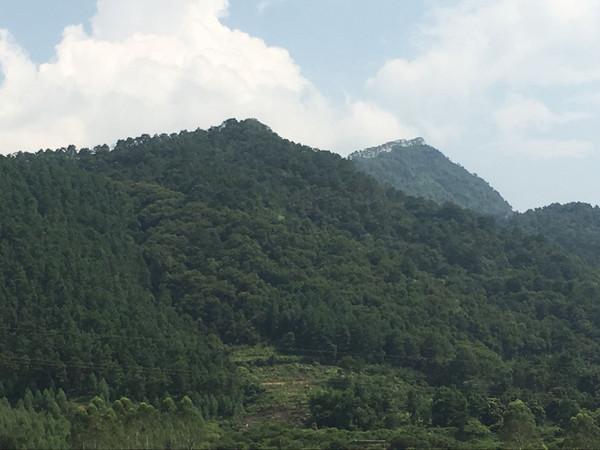 清远8大漂流推荐！，清远漂流哪里最好玩最刺激（清远市漂流体验）