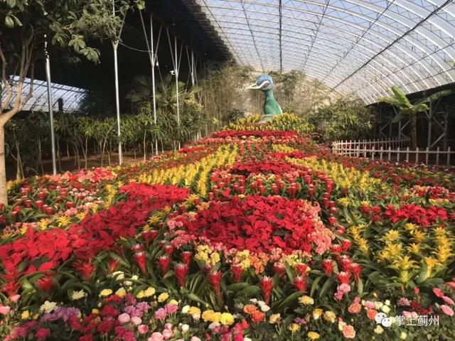 天津蓟县旅游景点大全，蓟州九大景区，这些人免费游（蓟州这些地方藏着最美的冬天）