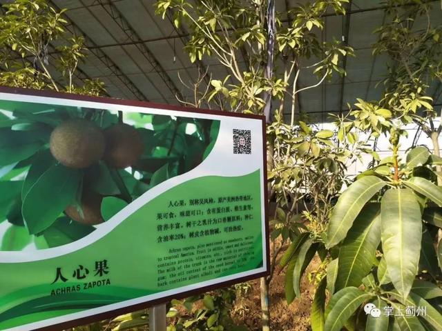 天津蓟县旅游景点大全，蓟州九大景区，这些人免费游（蓟州这些地方藏着最美的冬天）