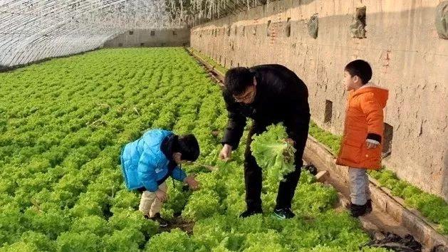 天津蓟县旅游景点大全，蓟州九大景区，这些人免费游（蓟州这些地方藏着最美的冬天）