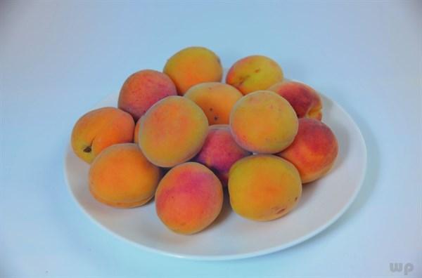 杏子的营养价值，杏的营养价值有哪些（补钙开胃、保护心血管）