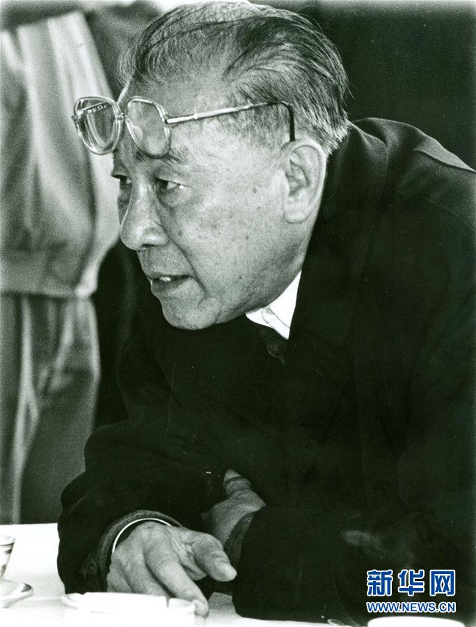 蛇口家电维修项目安装招聘 袁庚：改革开放试验田“蛇口模式”的探索创立者