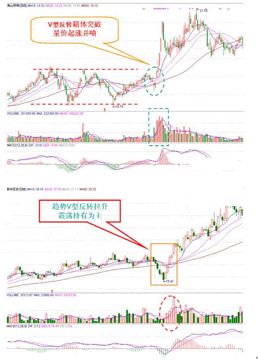 股票V型反转是什么意思，a股v型反转（职业股民擅长V型反转神技）