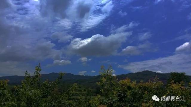 天府玫瑰谷！，天府玫瑰谷图片（距离成都主城区仅20公里）