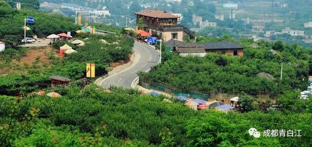 天府玫瑰谷！，天府玫瑰谷图片（距离成都主城区仅20公里）