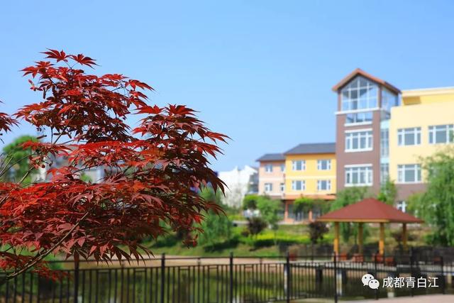 天府玫瑰谷！，天府玫瑰谷图片（距离成都主城区仅20公里）