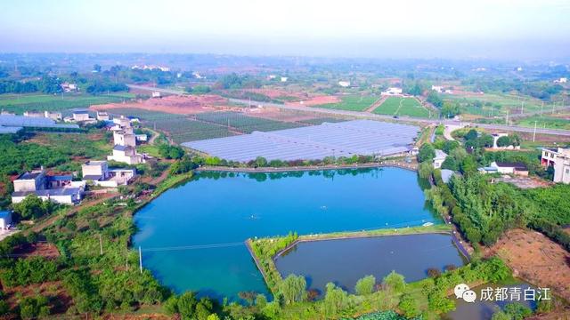 天府玫瑰谷！，天府玫瑰谷图片（距离成都主城区仅20公里）