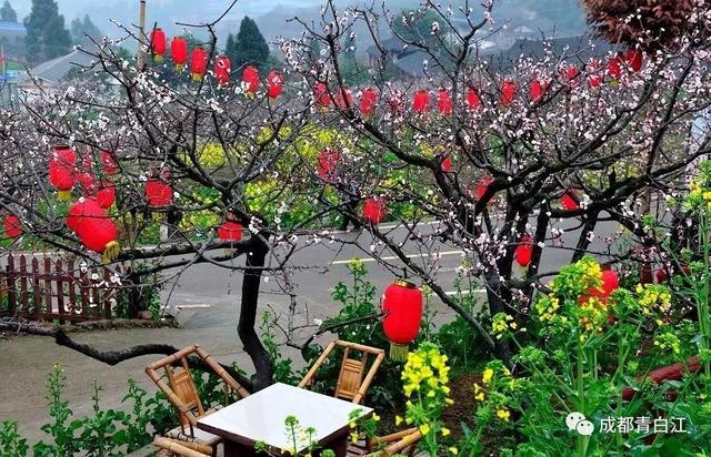 天府玫瑰谷！，天府玫瑰谷图片（距离成都主城区仅20公里）