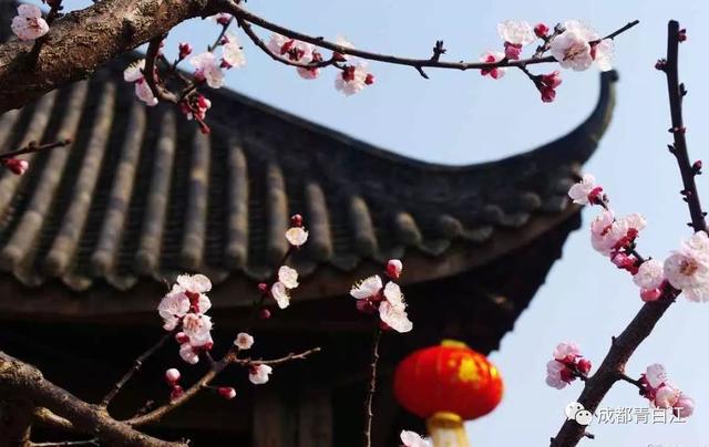 天府玫瑰谷！，天府玫瑰谷图片（距离成都主城区仅20公里）