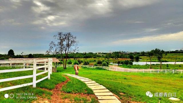 天府玫瑰谷！，天府玫瑰谷图片（距离成都主城区仅20公里）