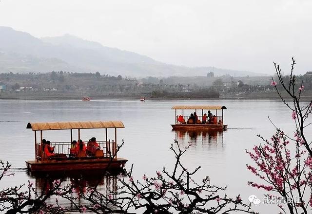 天府玫瑰谷！，天府玫瑰谷图片（距离成都主城区仅20公里）