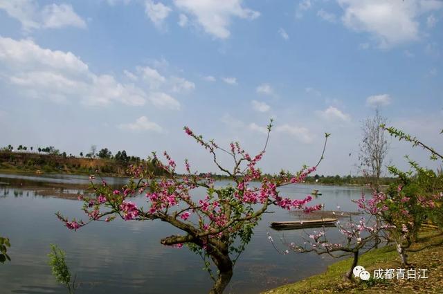 天府玫瑰谷！，天府玫瑰谷图片（距离成都主城区仅20公里）