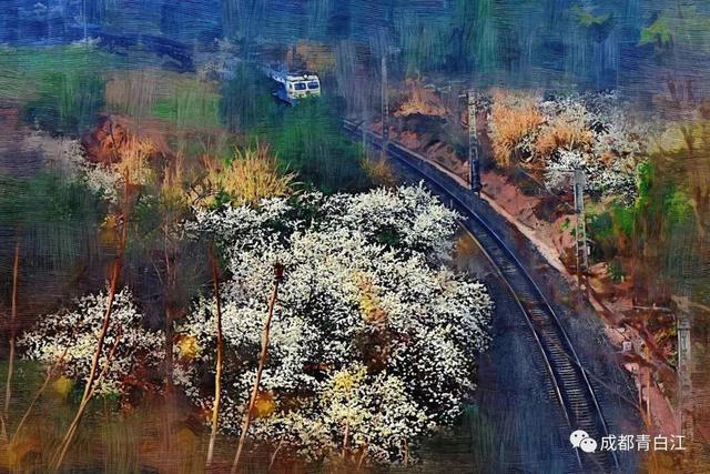 天府玫瑰谷，天府玫瑰谷什么时候去最好（距离成都主城区仅20公里）