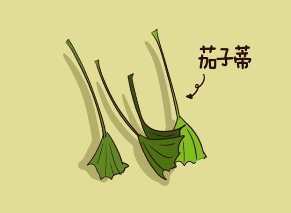 茄子是凉性还是热性，茄子是凉性还是热性水果（这个东西可是止咳良方）