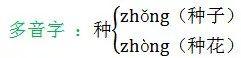什么虚传成语，部编版二年级语文上册期末复习基础知识易错题