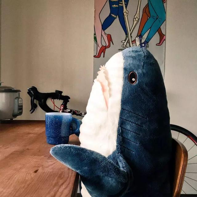 小鲨鱼表情包，微信头像，小鲨鱼表情包（这只丧萌鲨鱼就是我本人吧）