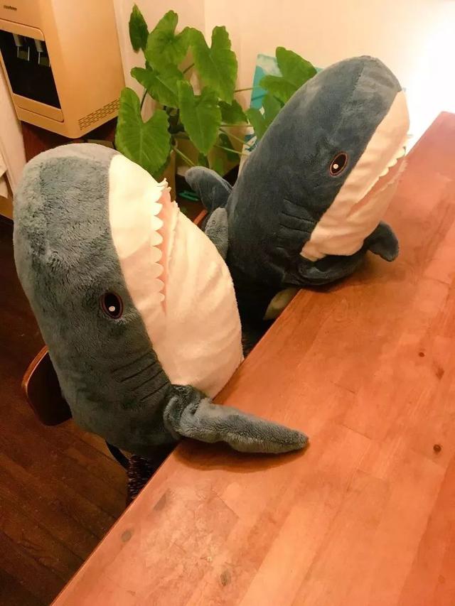 小鲨鱼表情包，微信头像，小鲨鱼表情包（这只丧萌鲨鱼就是我本人吧）