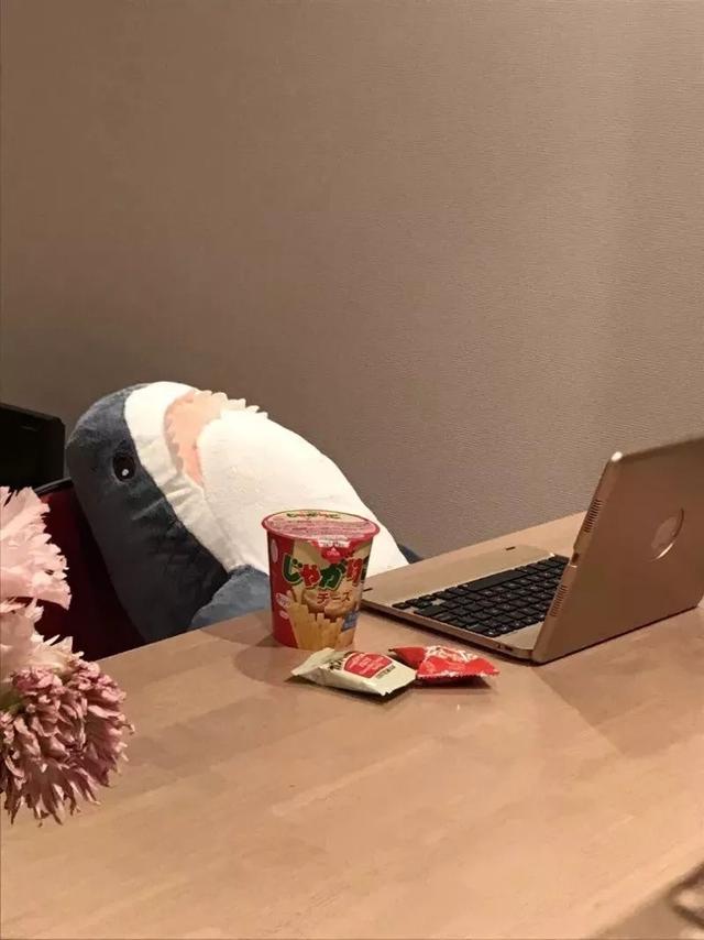 小鲨鱼表情包，微信头像，小鲨鱼表情包（这只丧萌鲨鱼就是我本人吧）