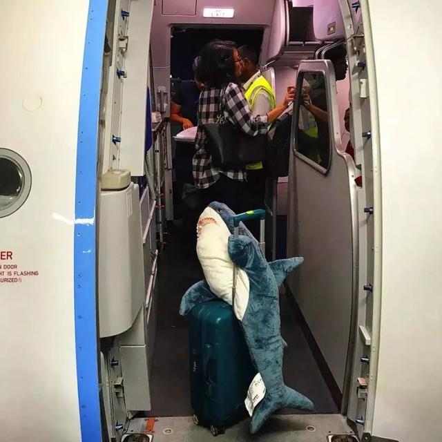 小鲨鱼表情包，微信头像，小鲨鱼表情包（这只丧萌鲨鱼就是我本人吧）