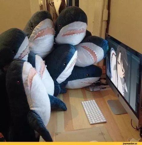 小鲨鱼表情包，微信头像，小鲨鱼表情包（这只丧萌鲨鱼就是我本人吧）