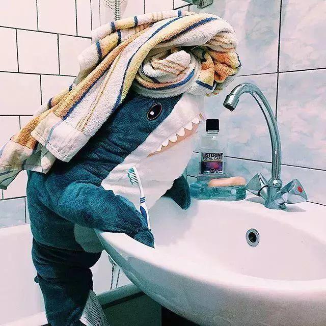 小鲨鱼表情包，微信头像，小鲨鱼表情包（这只丧萌鲨鱼就是我本人吧）