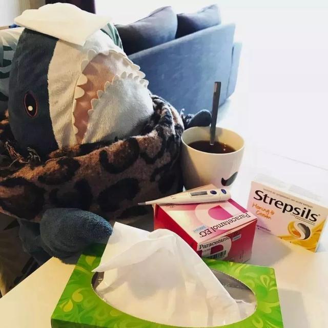 小鲨鱼表情包，微信头像，小鲨鱼表情包（这只丧萌鲨鱼就是我本人吧）