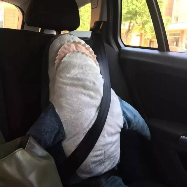 小鲨鱼表情包，微信头像，小鲨鱼表情包（这只丧萌鲨鱼就是我本人吧）