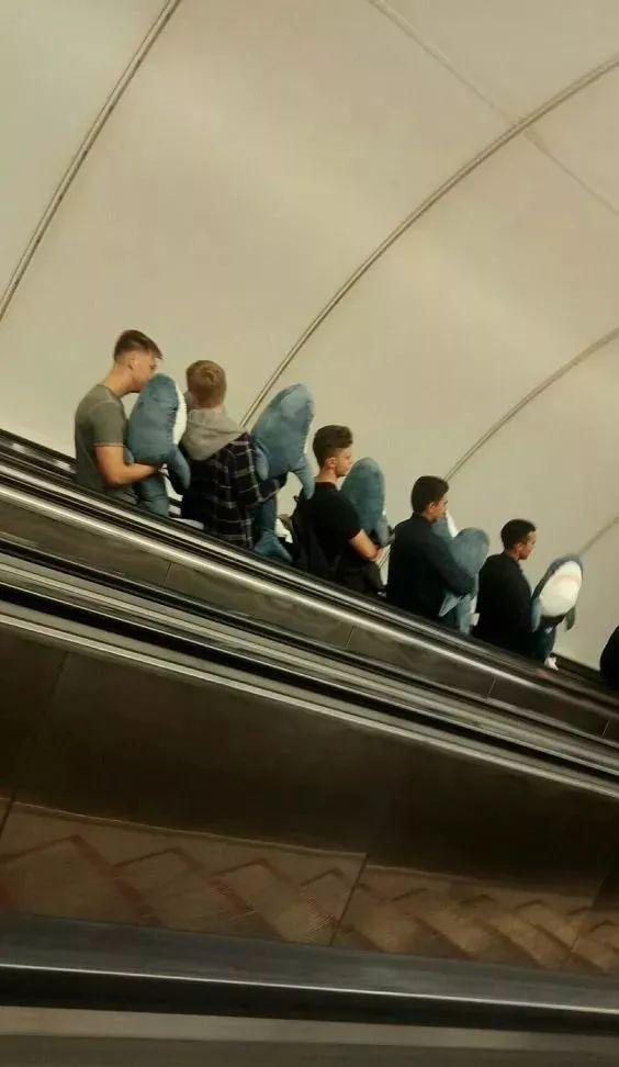 小鲨鱼表情包，微信头像，小鲨鱼表情包（这只丧萌鲨鱼就是我本人吧）