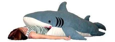 小鲨鱼表情包，微信头像，小鲨鱼表情包（这只丧萌鲨鱼就是我本人吧）