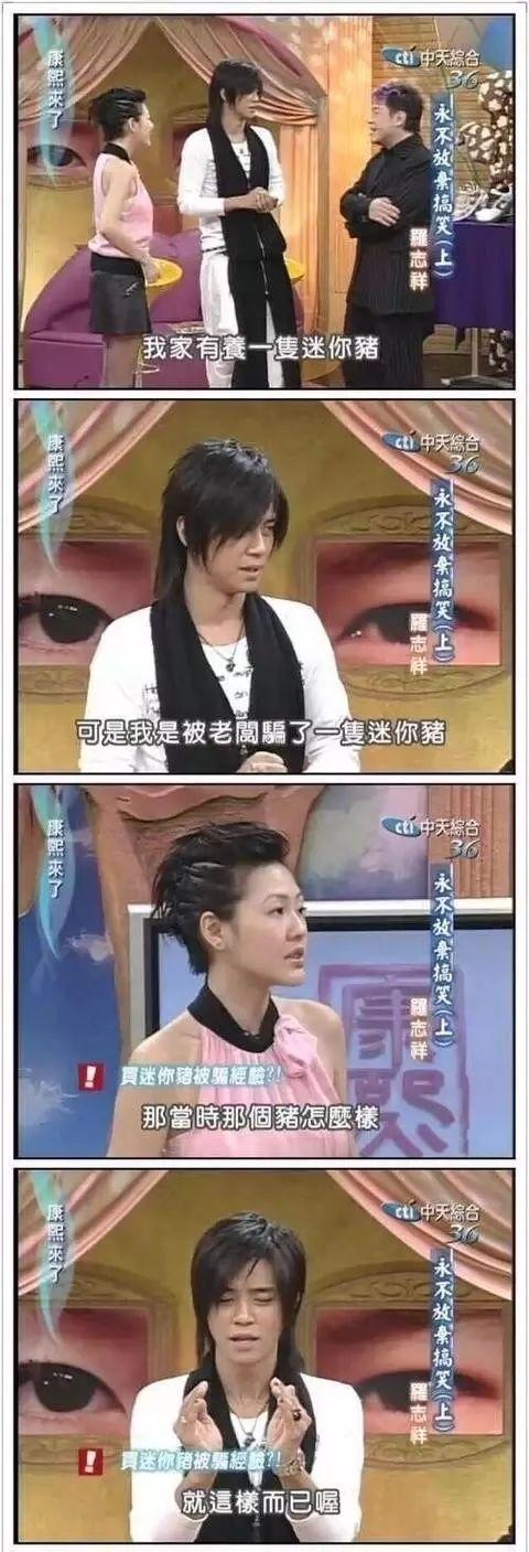 三只小猪盖房子的故事告诉我们什么道理，三只小猪盖房子的故事主要讲了什么（曾经连我都上了它的萌当）
