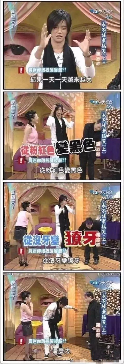 三只小猪盖房子的故事告诉我们什么道理，三只小猪盖房子的故事主要讲了什么（曾经连我都上了它的萌当）