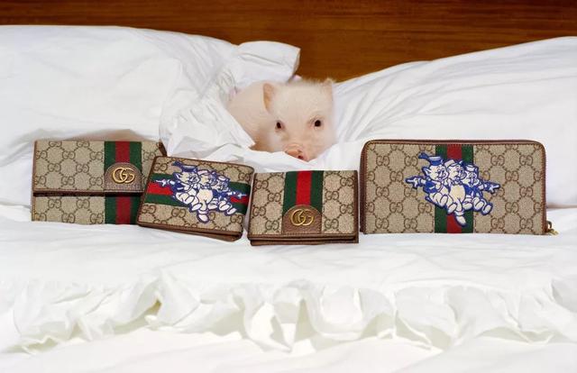 三只小猪盖房子的故事告诉我们什么道理，三只小猪盖房子的故事主要讲了什么（曾经连我都上了它的萌当）