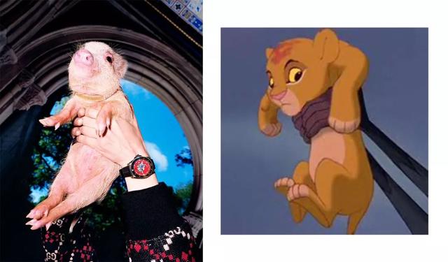 三只小猪盖房子的故事告诉我们什么道理，三只小猪盖房子的故事主要讲了什么（曾经连我都上了它的萌当）