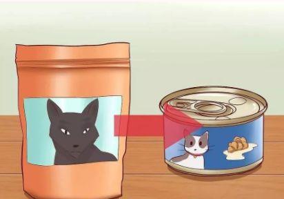 给猫最快解决便秘，给猫咪最快解决便秘的方法大集合（猫咪便秘了？别急，这样做！）