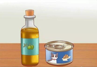 给猫最快解决便秘，给猫咪最快解决便秘的方法大集合（猫咪便秘了？别急，这样做！）