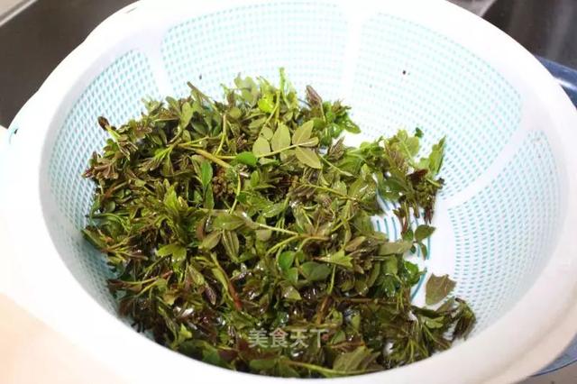 花椒芽的做法大全，很有特色的云南家常菜哦