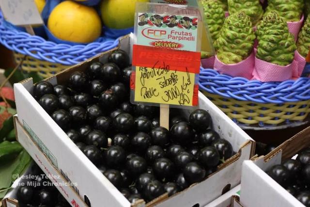 passionfruit，鼓浪屿上有卖一种很酸的水果叫什么（南美奇葩水果图鉴）