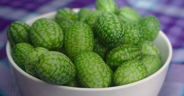 passionfruit，鼓浪屿上有卖一种很酸的水果叫什么（南美奇葩水果图鉴）