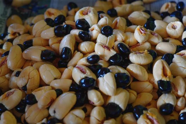 passionfruit，鼓浪屿上有卖一种很酸的水果叫什么（南美奇葩水果图鉴）