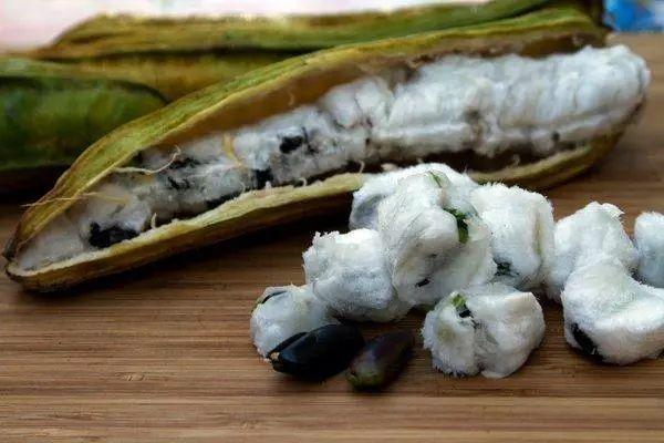 passionfruit，鼓浪屿上有卖一种很酸的水果叫什么（南美奇葩水果图鉴）