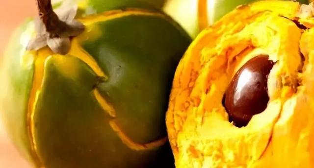 passionfruit，鼓浪屿上有卖一种很酸的水果叫什么（南美奇葩水果图鉴）