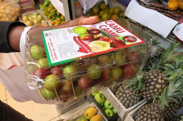 passionfruit，鼓浪屿上有卖一种很酸的水果叫什么（南美奇葩水果图鉴）