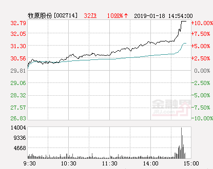 牧原股份怎么了 公司最新股票价格是多少（快讯：牧原股份涨停）