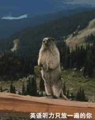 思维清奇是什么意思，逻辑思维清奇（孩子，你这是在用灵魂答卷么）